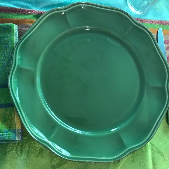 12 Skyros Designs 12 1/2 dinner plates